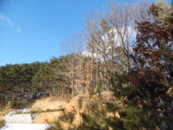 목록2. 임야 전경(1)