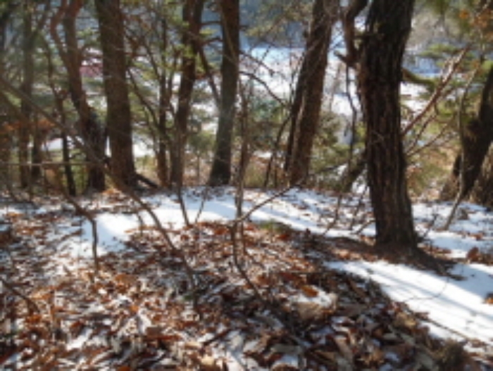 목록5. 임야 전경(5)