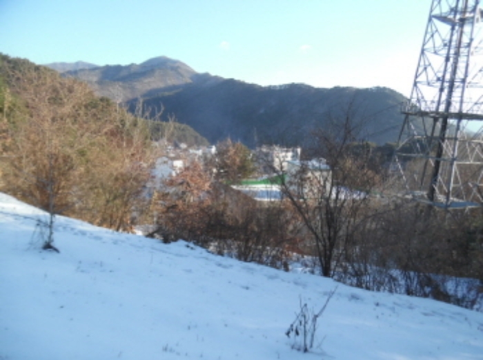 목록3. 임야 전경(1)