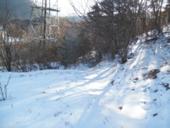 목록3. 임야 전경(2)