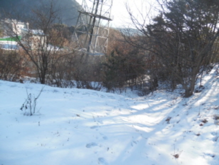 목록3. 임야 전경(3)