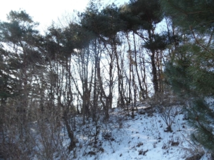목록1. 임야 전경(1)