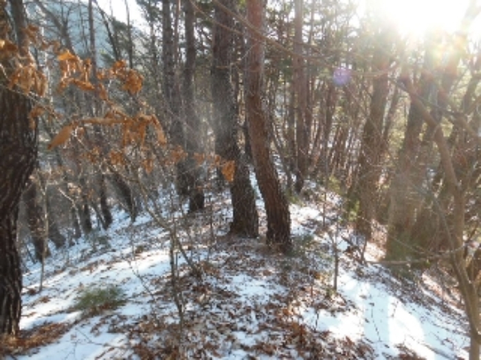 목록1. 임야 전경(2)