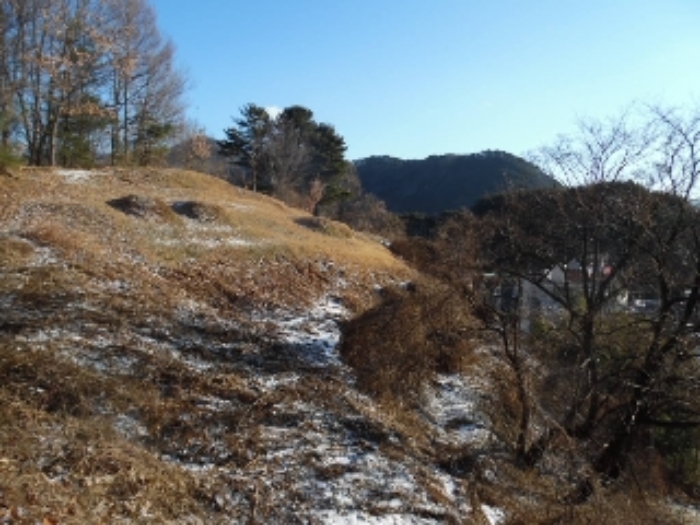 목록1. 임야 전경(3)