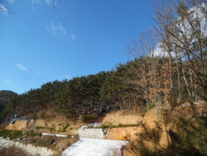 목록2. 임야 전경(2)