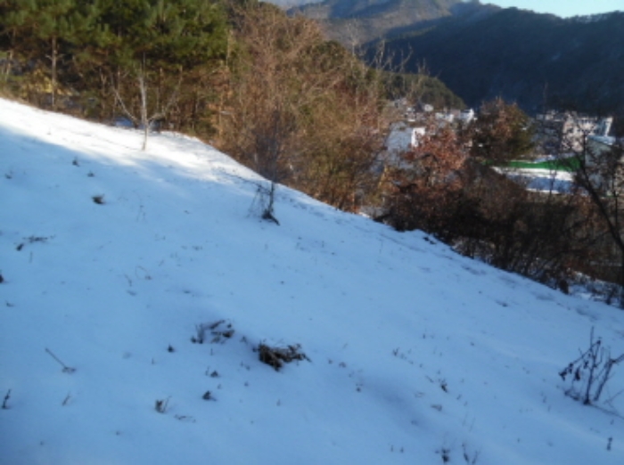 목록3. 임야 전경(4)