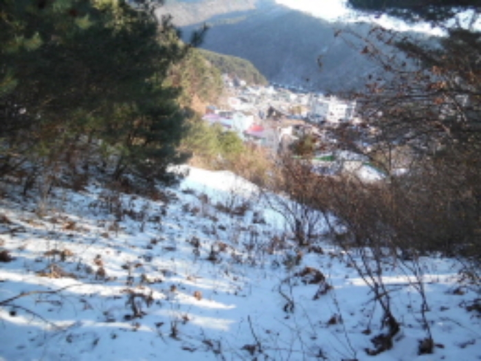 목록4. 임야 전경(1)