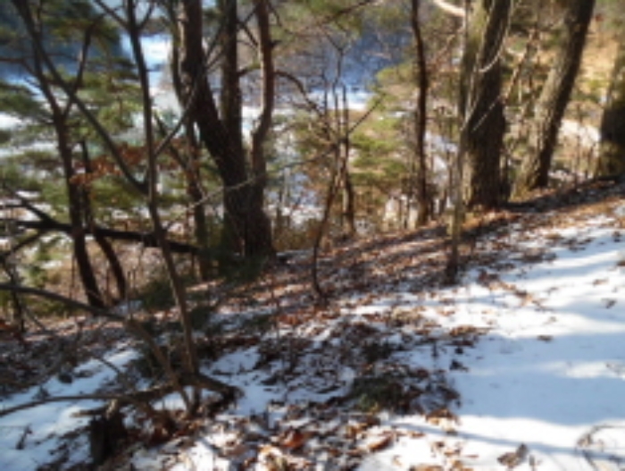 목록4. 임야 전경(2)