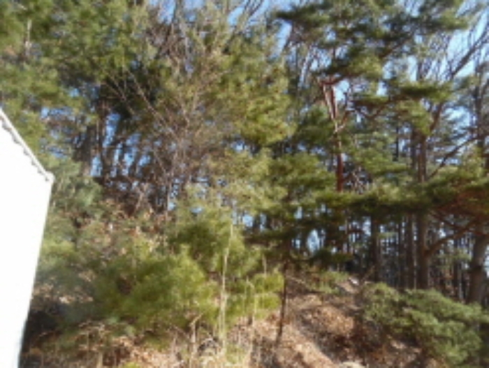 목록4. 임야 전경(5)