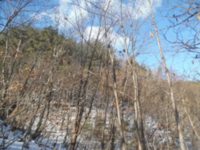 목록2. 임야 전경(4)