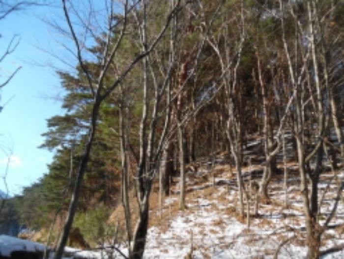 목록2. 임야 전경(5)