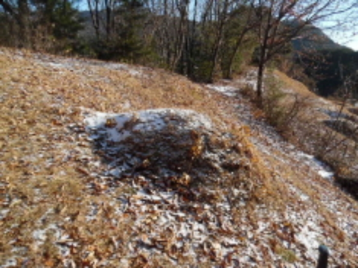 목록1. 임야 전경(4)