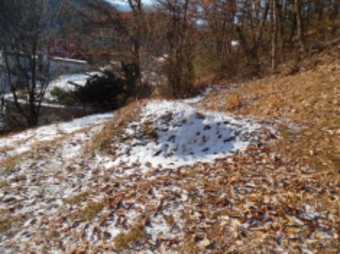 목록1. 임야 전경(5)