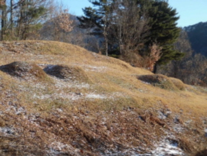 목록1. 임야 전경(6)