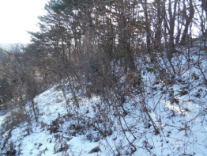 목록5. 임야 전경(1)