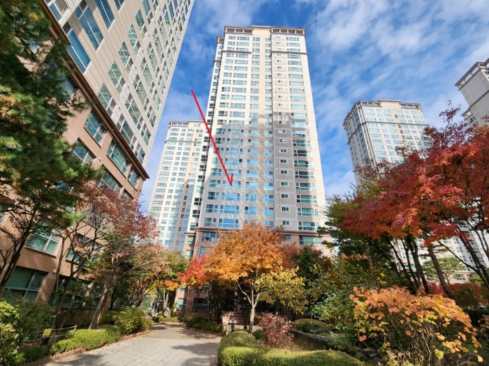 남서측에서 촬영