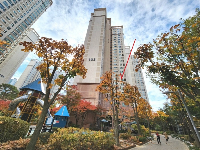 북동측에서 촬영