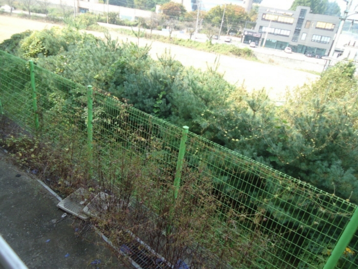 담장 일부(휀스) 상황