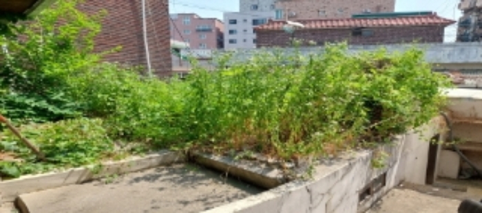 본건 토지 일부 전경