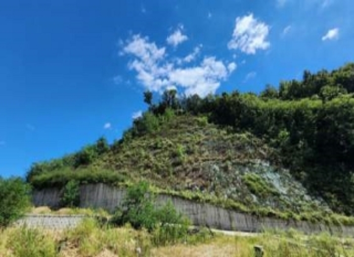 충청북도 옥천군 옥천읍 삼청리 산5-10 