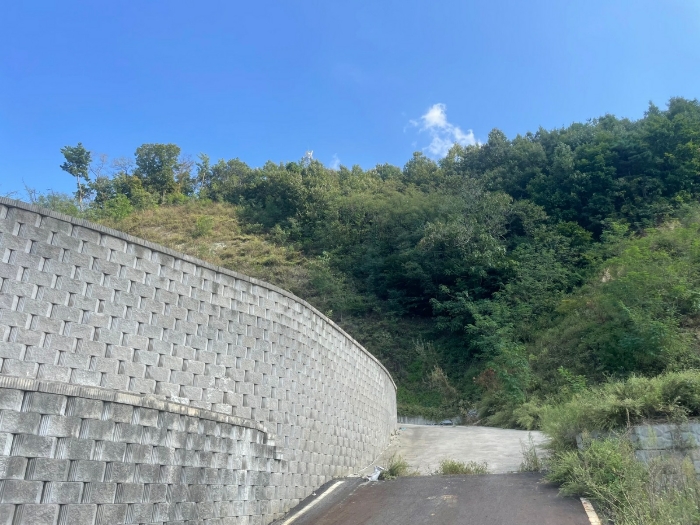 본건 전경(남서측에서 촬영)