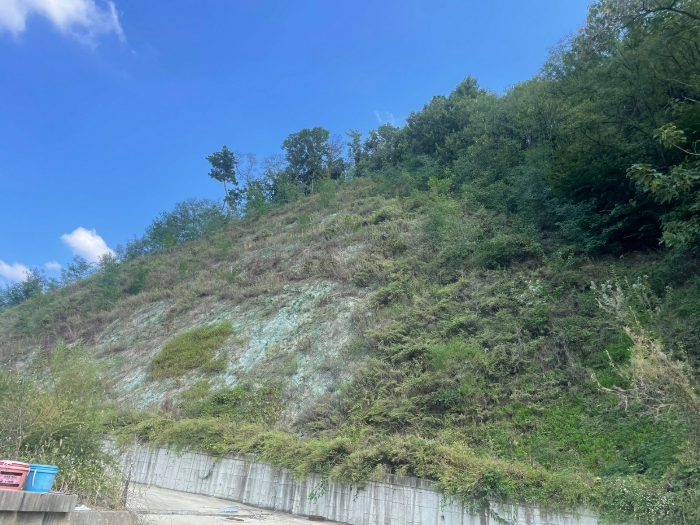 본건 전경(남측에서 촬영)