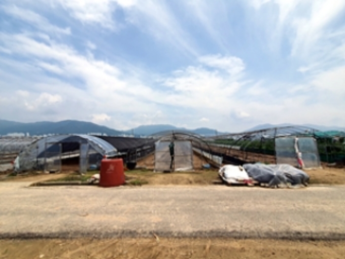 본 건 및 주변 전경