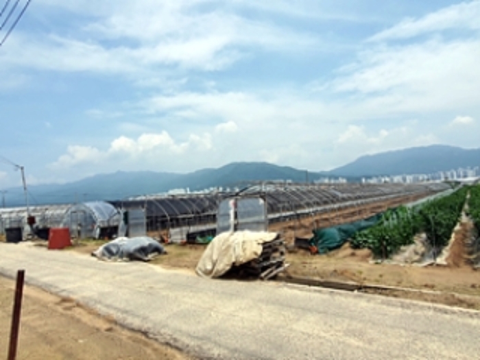 본 건 및 주변 전경