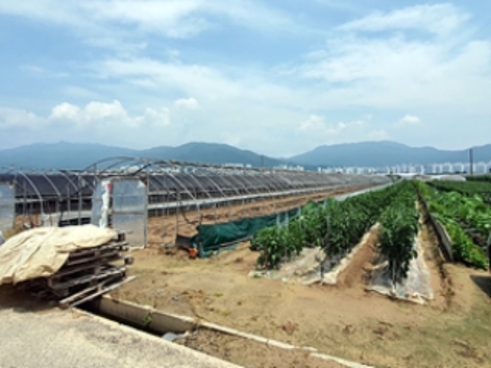 본 건 및 주변 전경