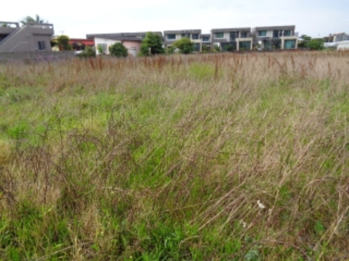 소재지2(구엄리 140) 사진