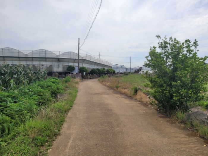 기호(2)에 접한도로