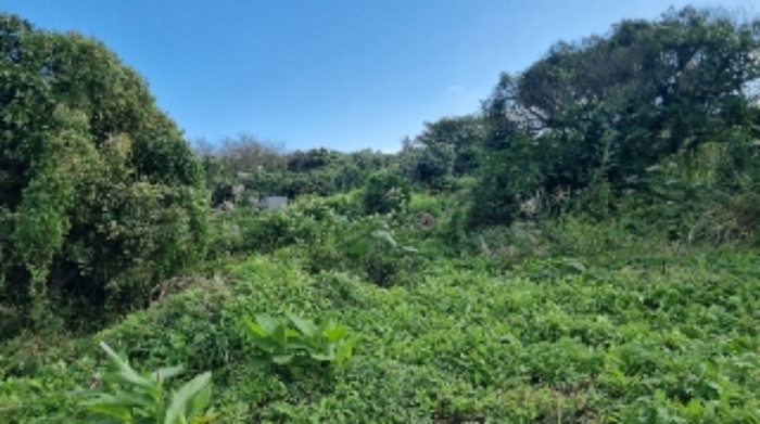 소재지1(와산리 1391-3) 전경2