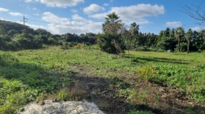 소재지1(와산리 1391-3) 전경3