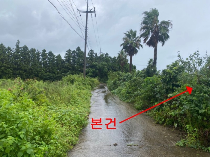 본건 북서측 주변전경