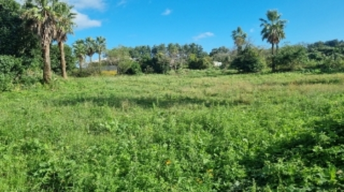 소재지1(와산리 1391-3) 전경1