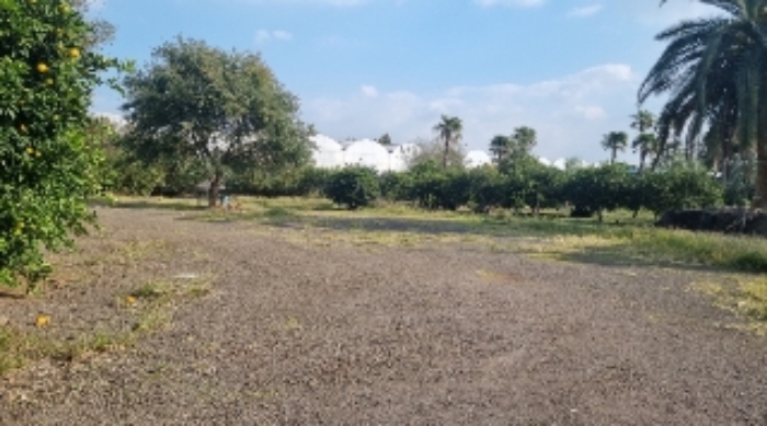 소재지1(의귀리 276) 전경1