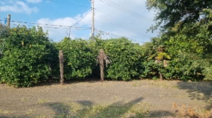 소재지1(의귀리 276) 전경3