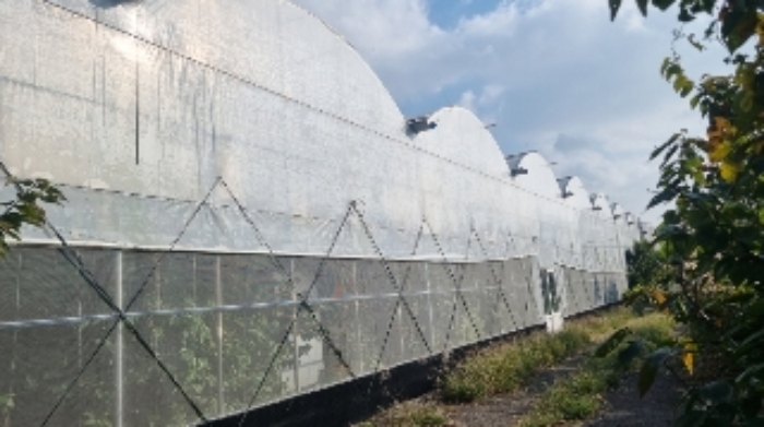 소재지1(의귀리 276) 전경6