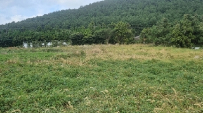 소재지2(선흘리