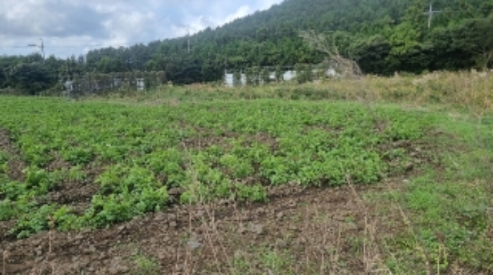 소재지2(선흘리