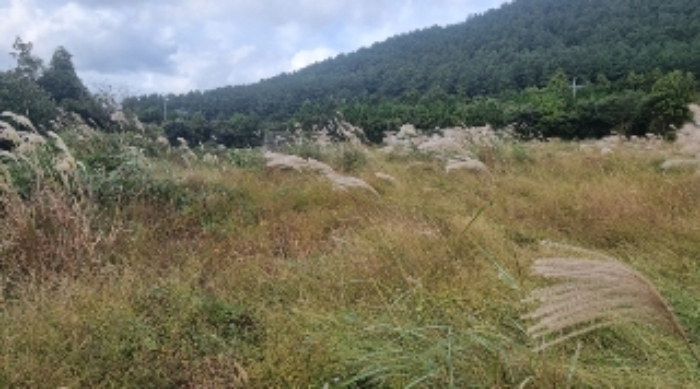 소재지1(선흘리