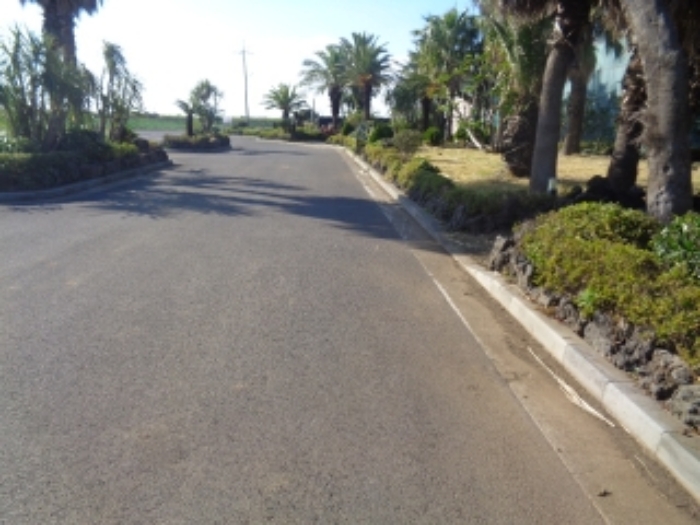 소재지1(상모리 1450-1) 도로로 이용 중인 토지 사진