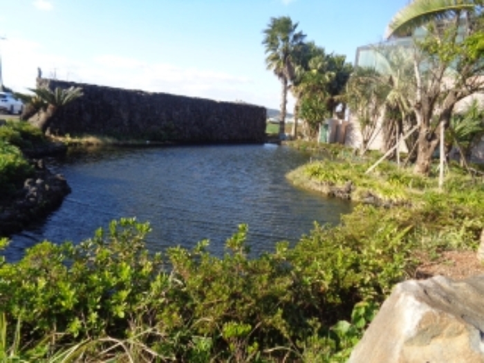 소재지1(상모리 1450-1) 지상 소재 연못 사진