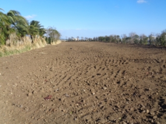 소재지2(상모리 437)전경 사진