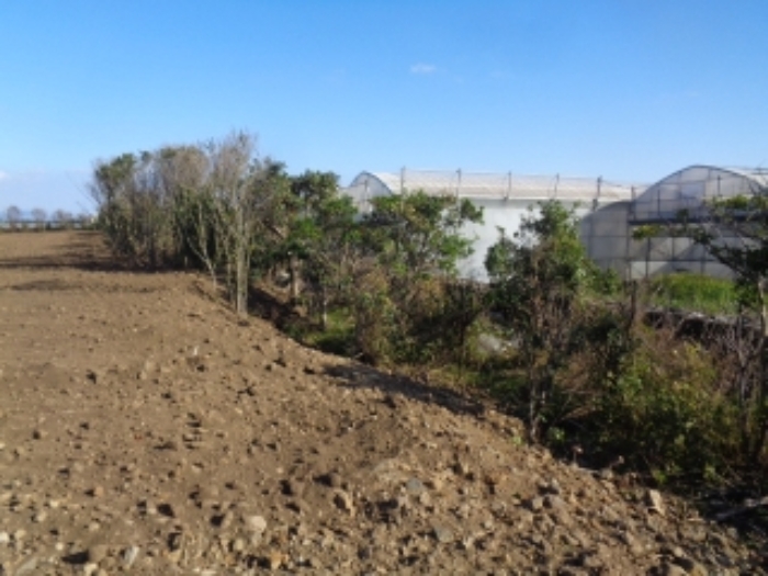 소재지2(상모리 437)전경 사진