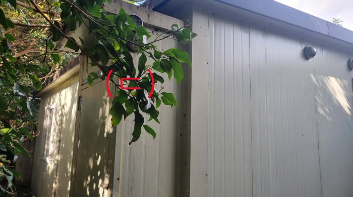 소재지3(서호동 282-2) 지상에 소재한 제시외 건물(ㄷ)