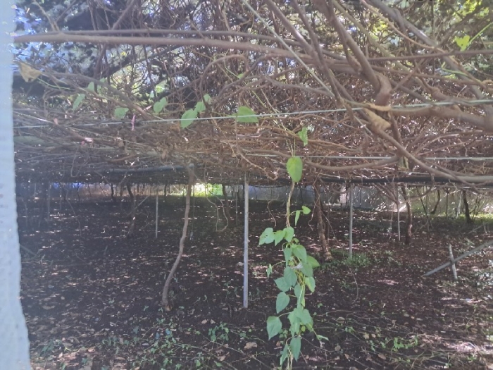 일련번호(5)전경