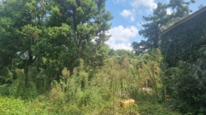 소재지2(도련일동 1392-2) 전경