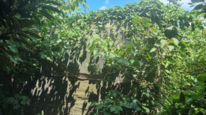 소재지5(도련일동 995) 전경