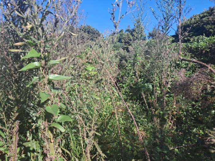 일련번호(1)전경